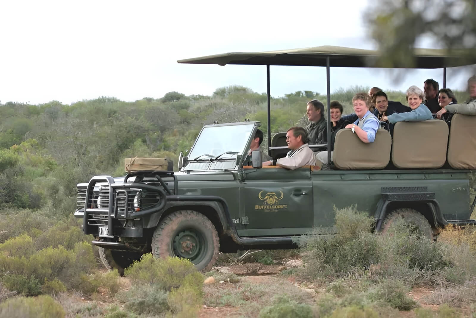 Buffelsdrift Game Drives
