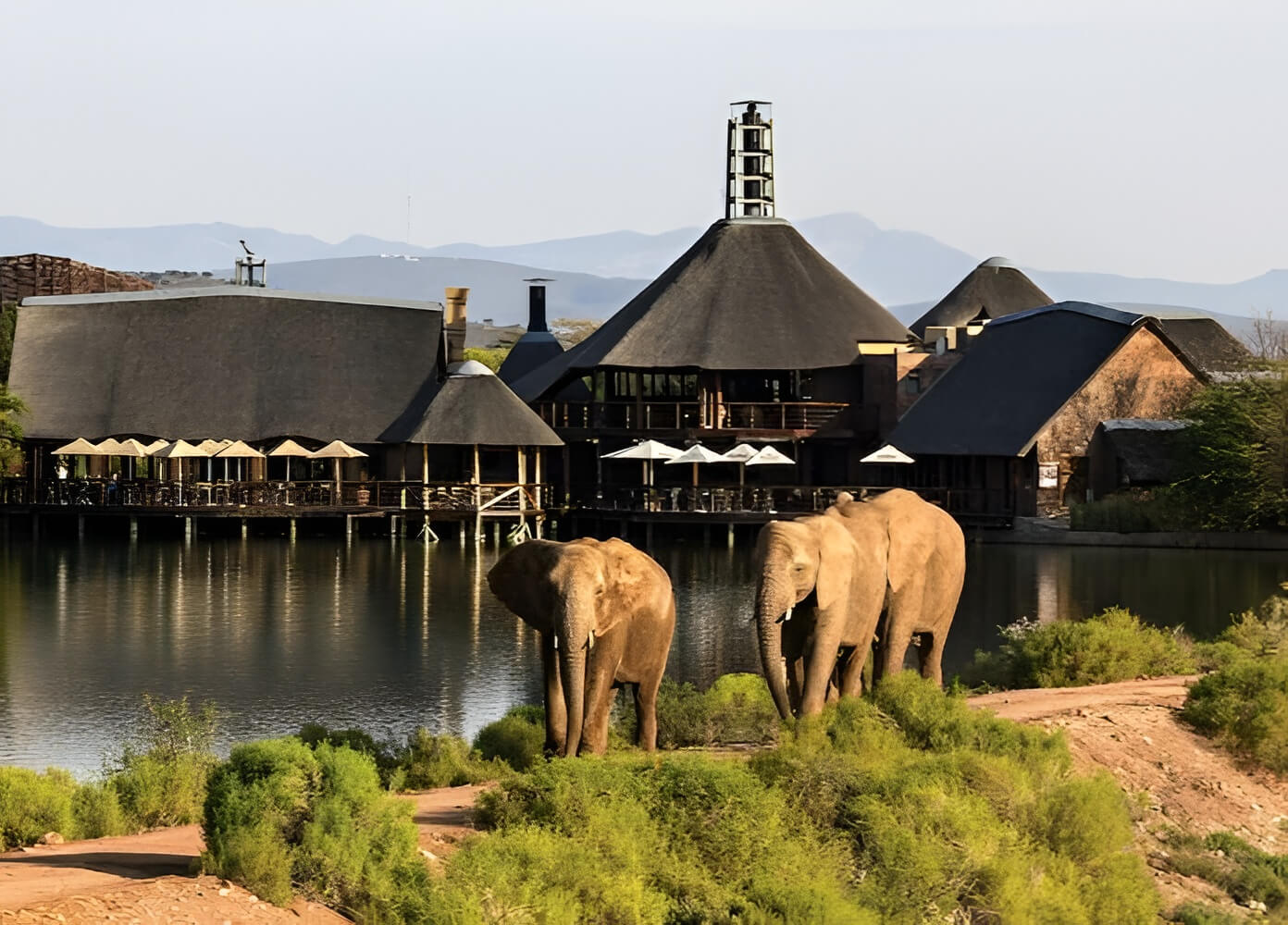 Buffelsdrift Game Lodge